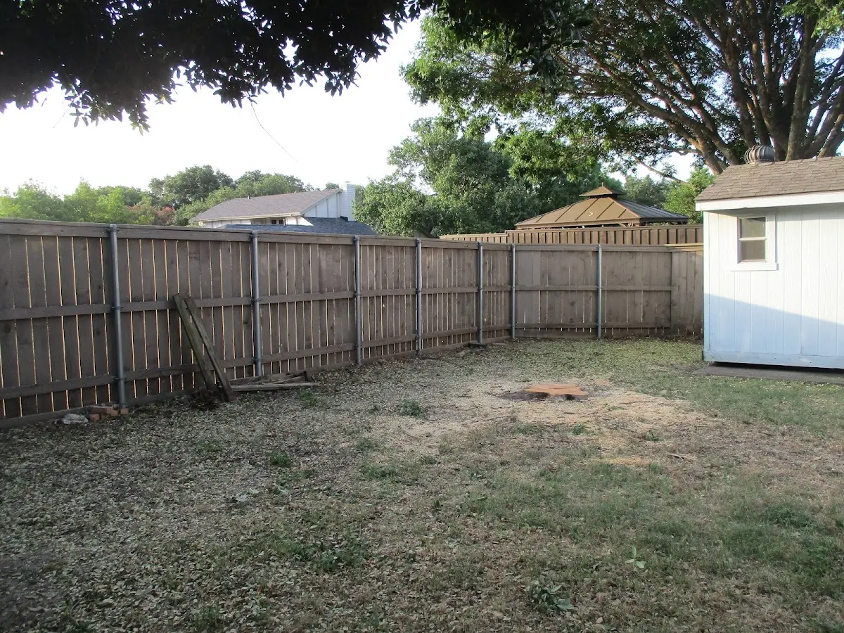 Cleared yard after professional tree removal in Greenport
